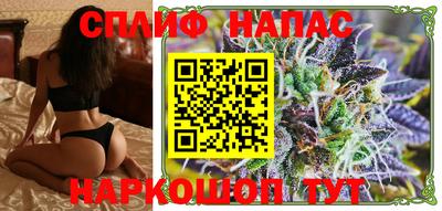 гашик Можга