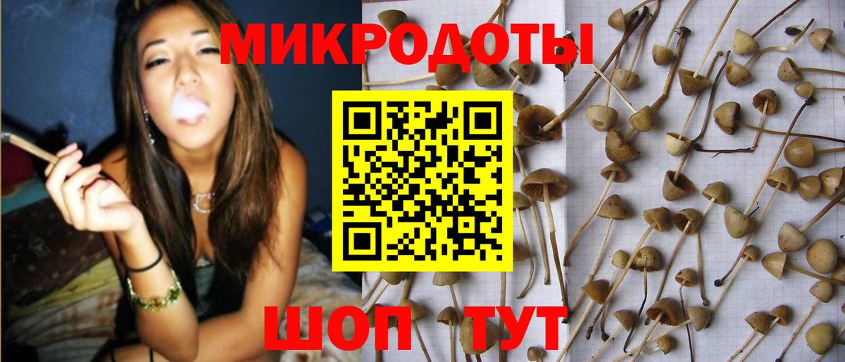 Тавда  Галлюциногенные грибы мухоморы  Вход с VPN 