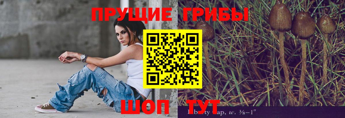 Псилоцибиновые грибы ЛСД Тавда